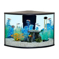 Corner Tank Aquarium Starter Kit O4146