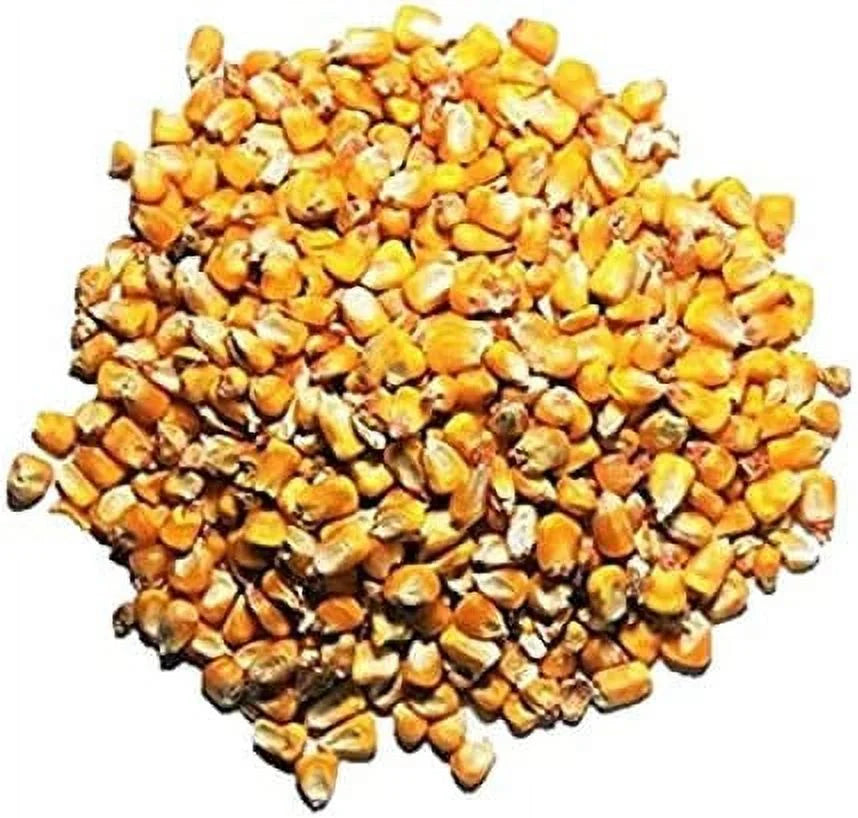 Whole Corn Wild Bird Deer Feed (10LB) C274643