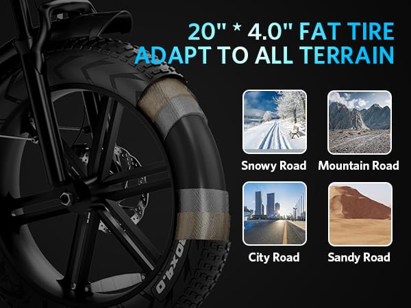 Electric Bike with 20" Fat Tire, 7-Speed Gear, Removable Battery D564991