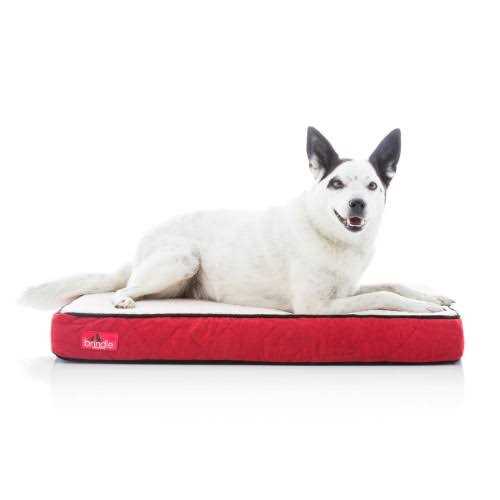Waterproof Memory Foam Pet Bed X8516