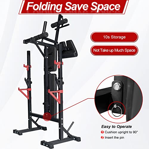 Weight Bench with Squat Rack, Adjustable Bench, Foldable Bench & Barbell Rack Stand, 660Lbs M396410