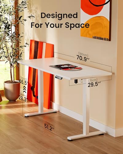 48 x 24 Inches Height Adjustable Electric Standing Desk with Memory S40332