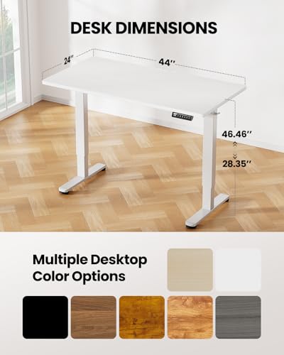 48 x 24 Inches Height Adjustable Electric Standing Desk with Memory S40332