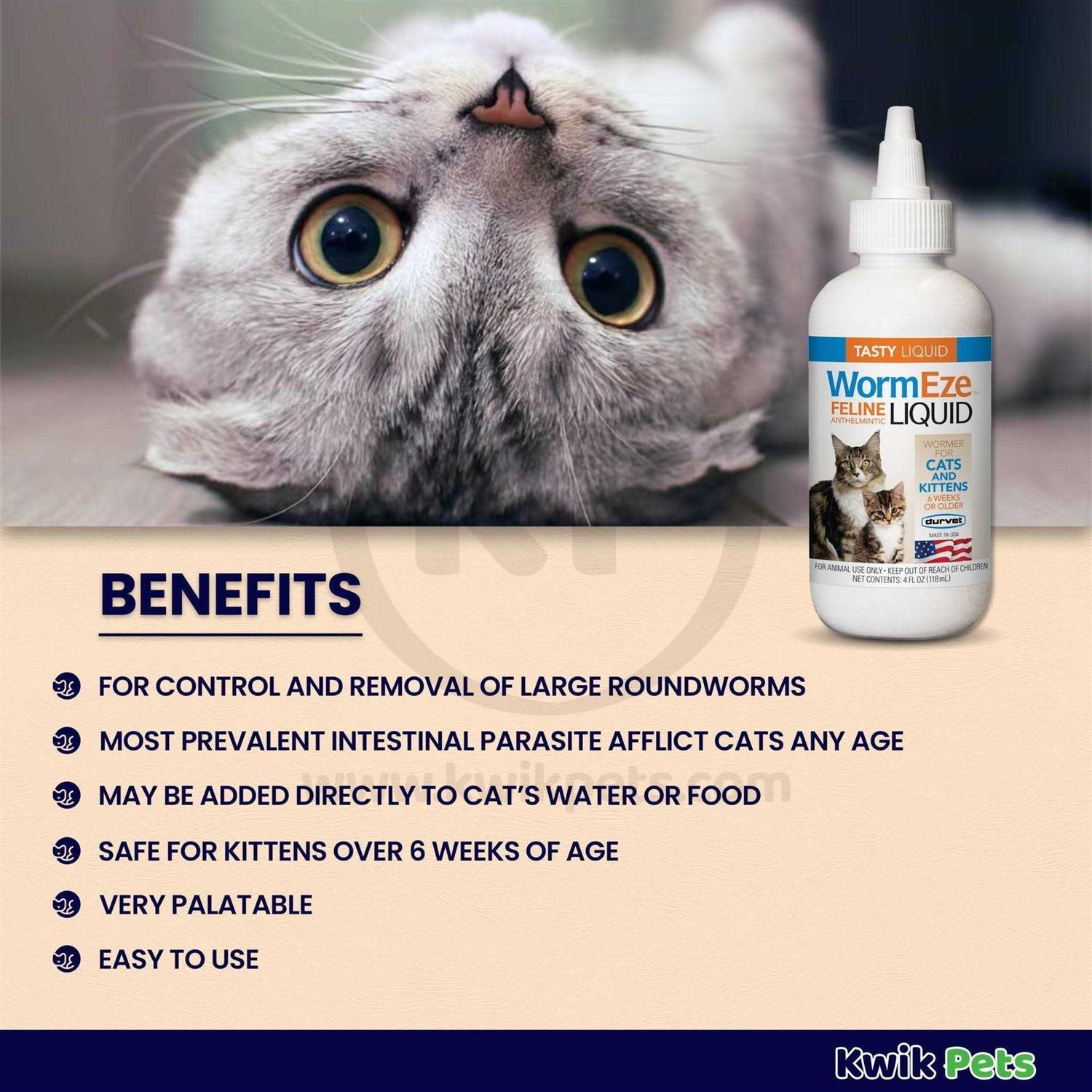 Feline Liquid D562