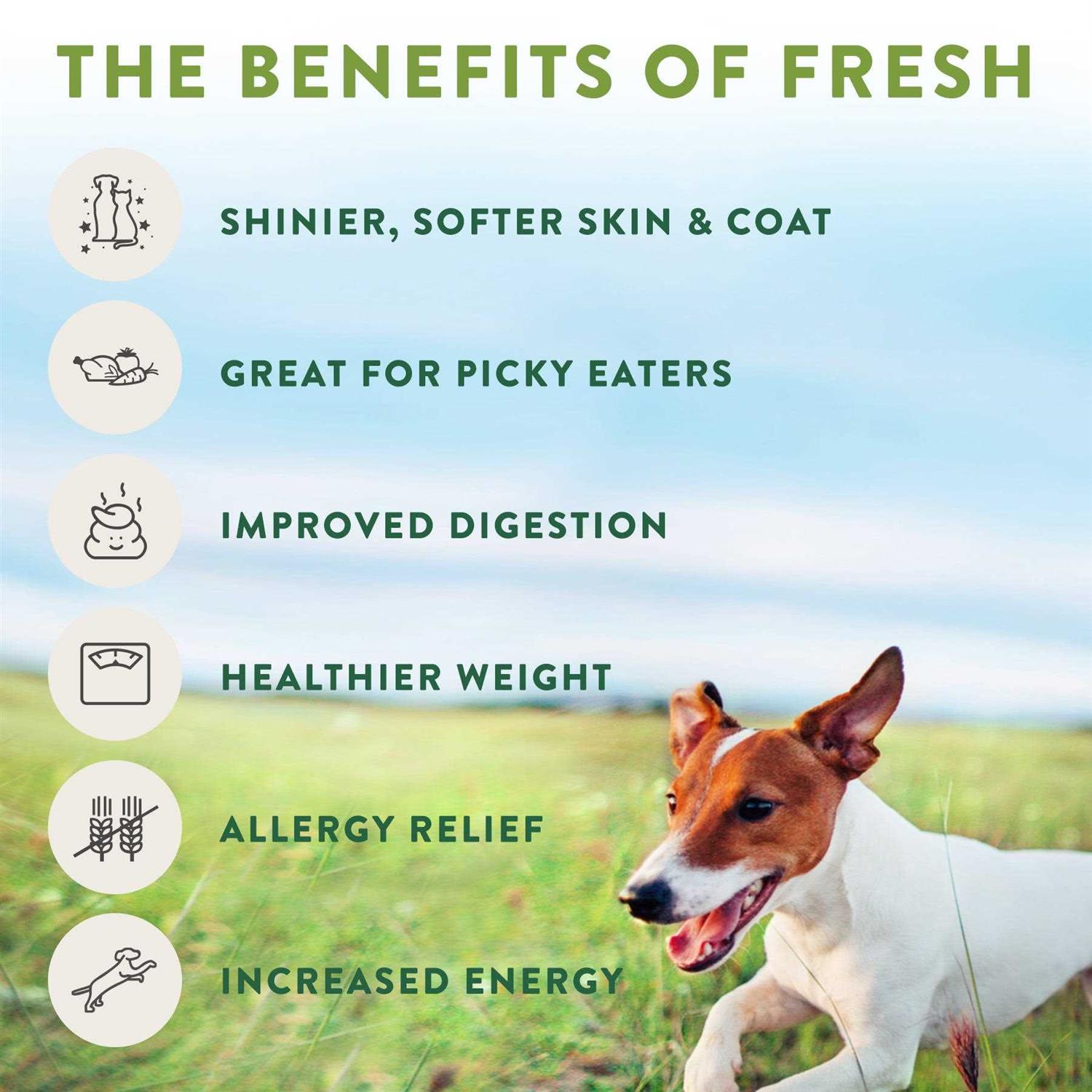 Freshpet Select Dog Food Tender Chicken Recipe P677