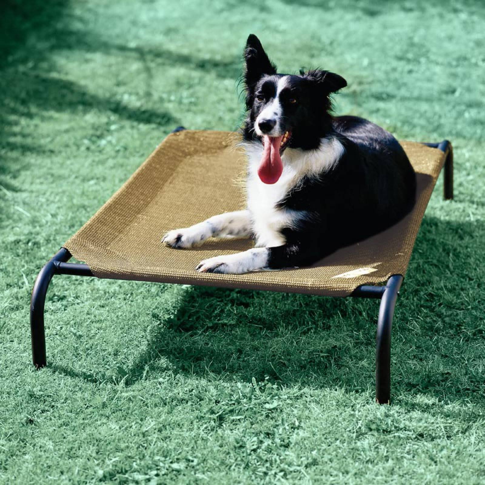 Elevated Large Pet Bed Desert Sand P97344