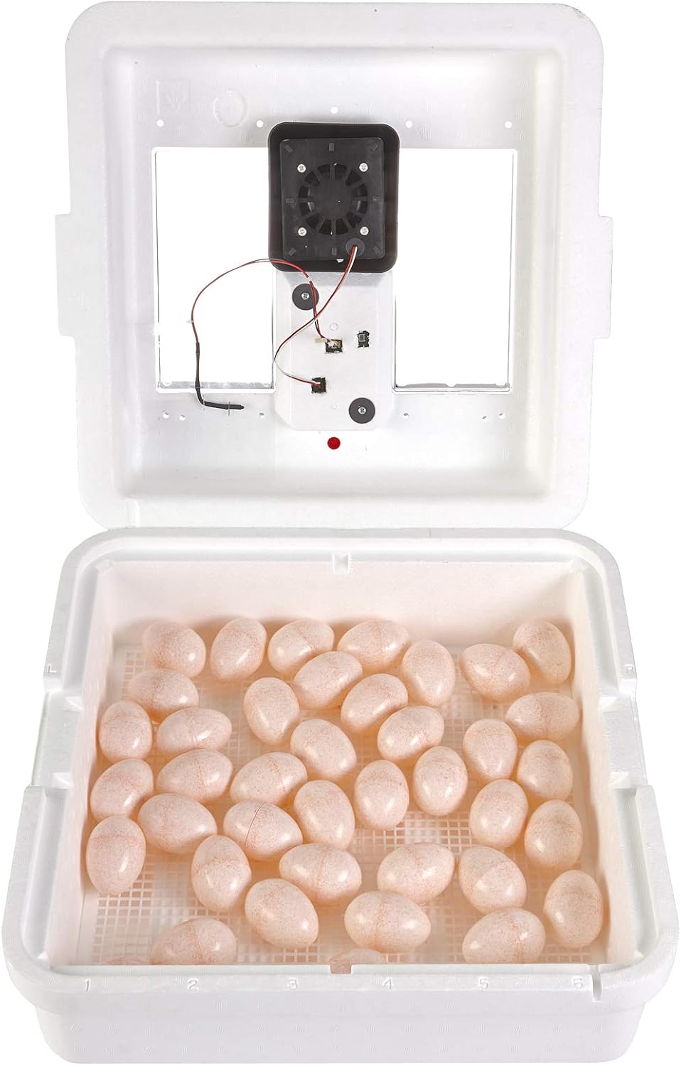 41 Egg Incubator with Temperature and Humidity Control R182