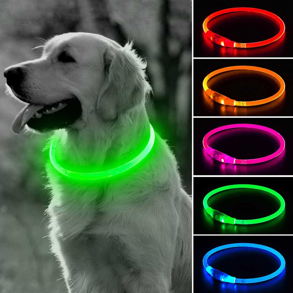 Rechargeable LED Dog Collar K889908