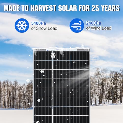 195 Watt 12 Volt Monocrystalline Double-Sided Solar Panel T5677