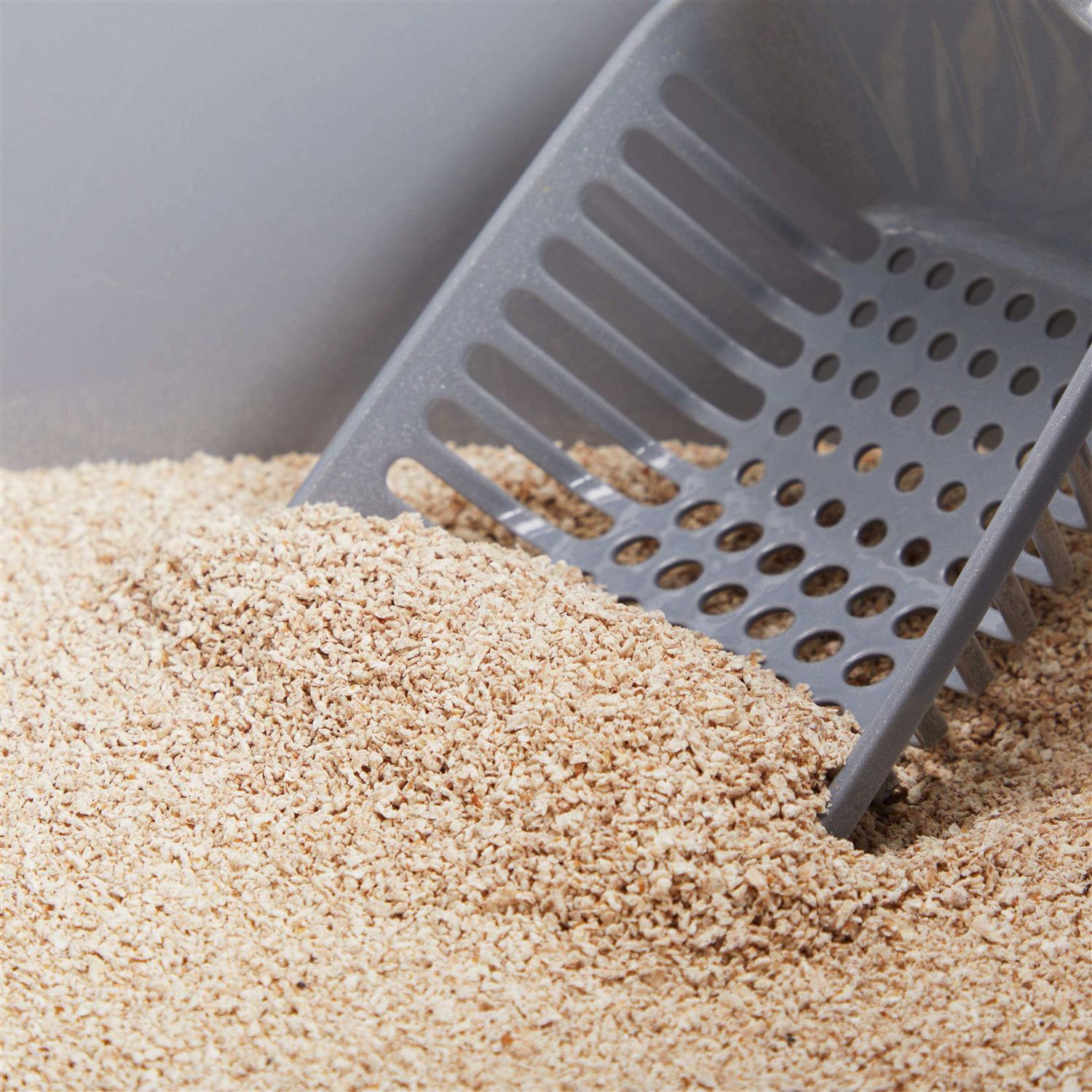 Unscented Grass Seed Cat Litter C55854