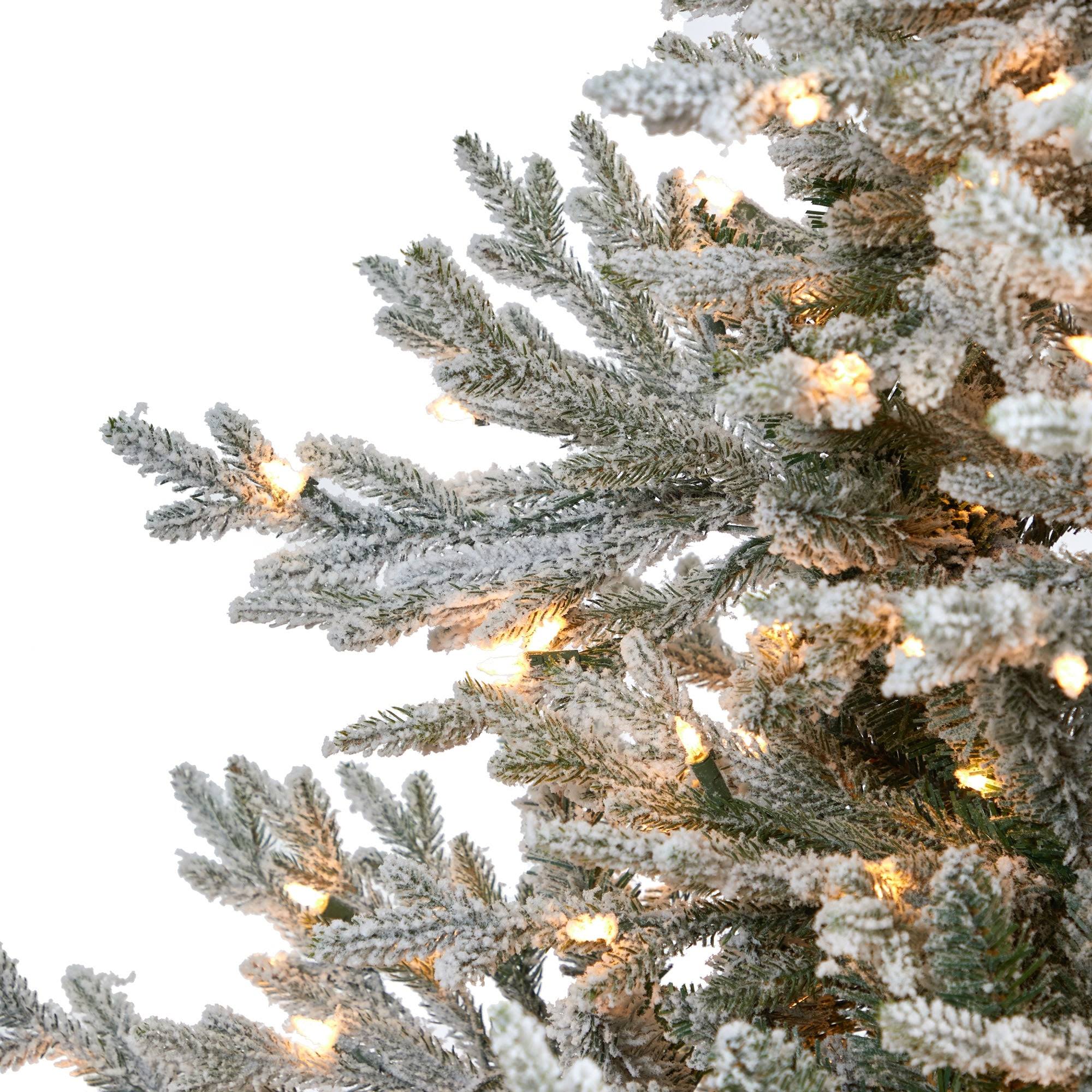 Flocked Fraser Fir Christmas Tree with 600 Warm White Lights O316
