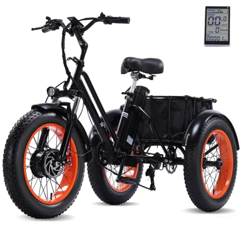 Electric Tricycle with 500W Motor, 20"x4.0" Fat Tire, 48V15Ah Battery R9679