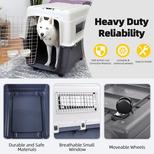 Plastic Airline Approved Travel Dog Crate, Medium E385181