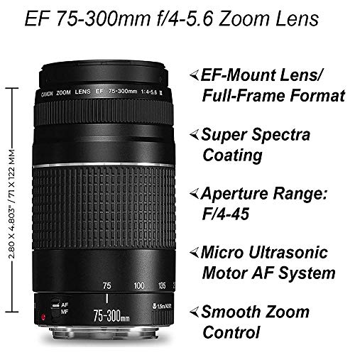 DSLR Camera with 18-55mm + 75-300mm Lenses, 64GB Memory Card, Tripod, Case, Wideangle Lenses D51991