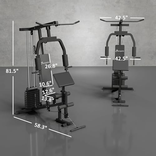 99Lbs Weight Stack Home Gym System Z67161