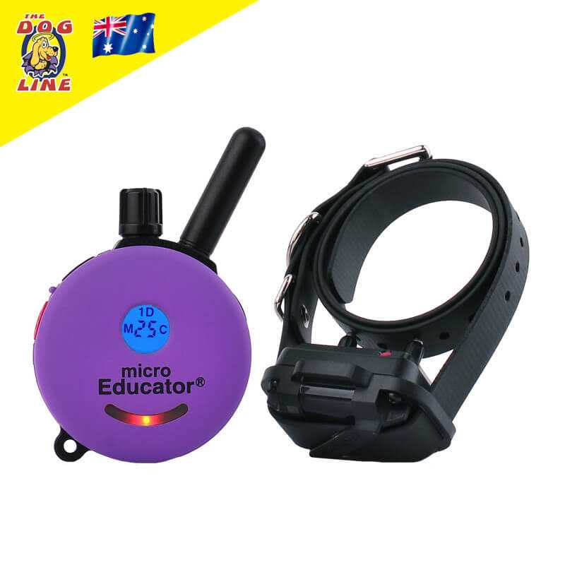 Remote Dog Training Collar with Vibration A552