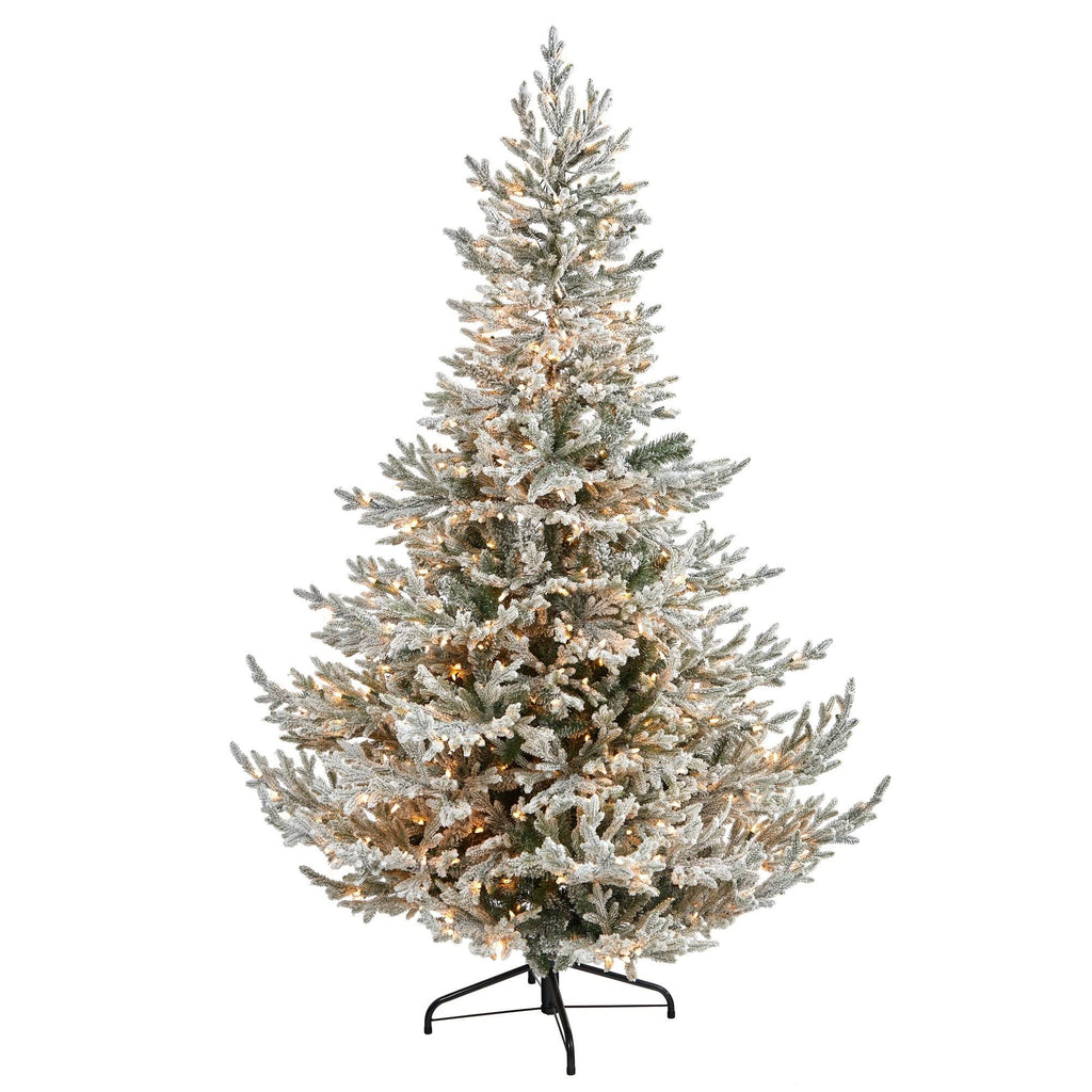 Flocked Fraser Fir Christmas Tree with 600 Warm White Lights O316
