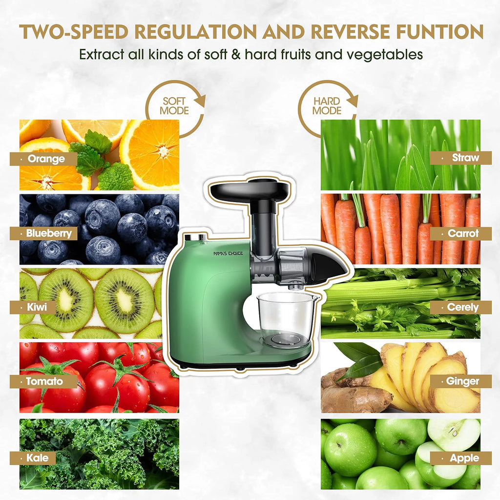 Slow Masticating Cold Press Juicer W32382