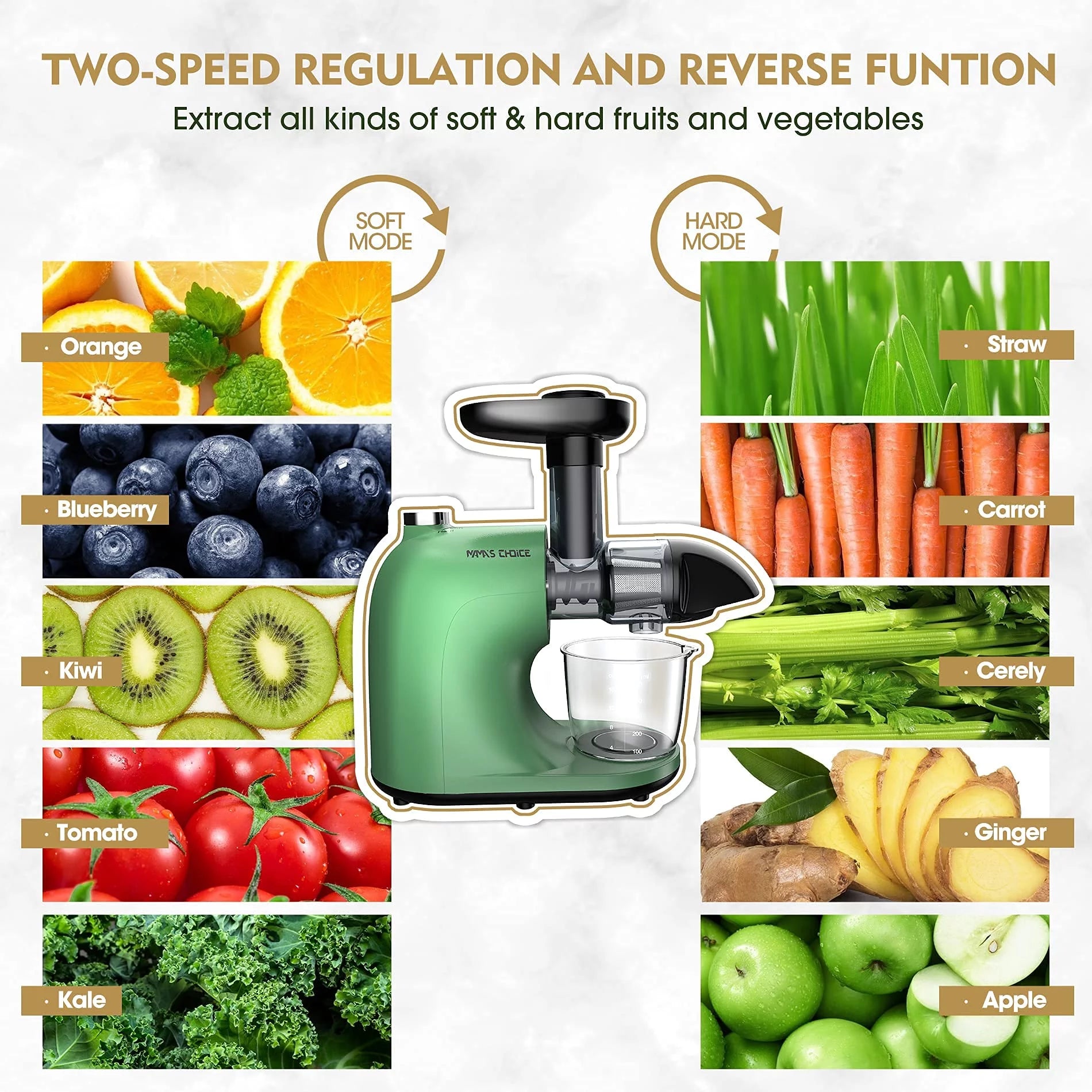 Slow Masticating Cold Press Juicer W32382