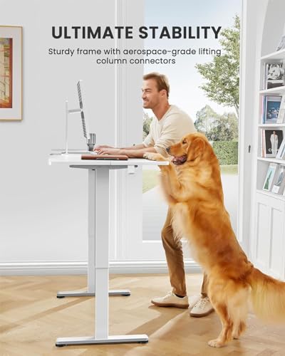 48 x 24 Inches Height Adjustable Electric Standing Desk with Memory S40332