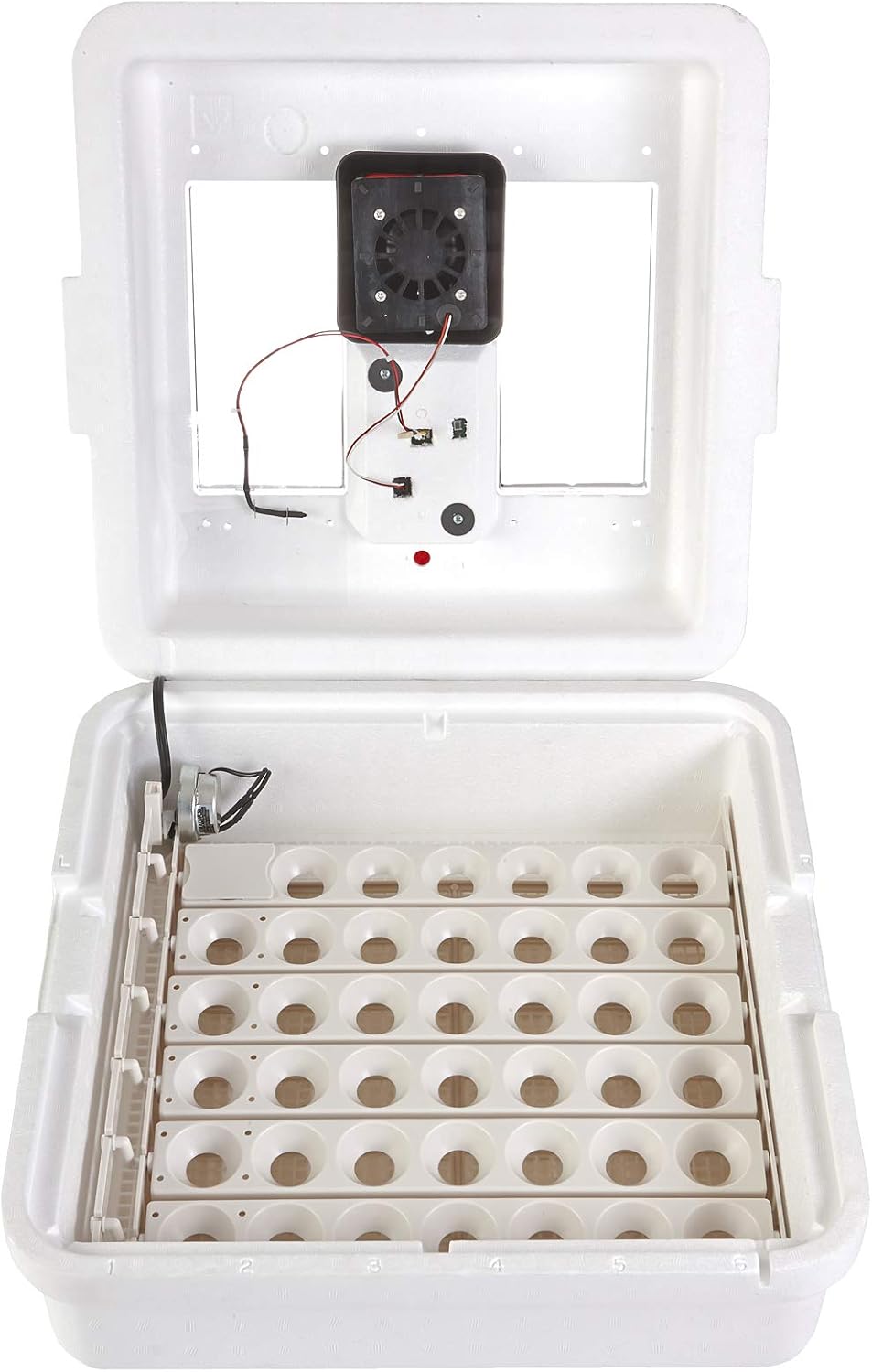 41 Egg Incubator with Temperature and Humidity Control R182