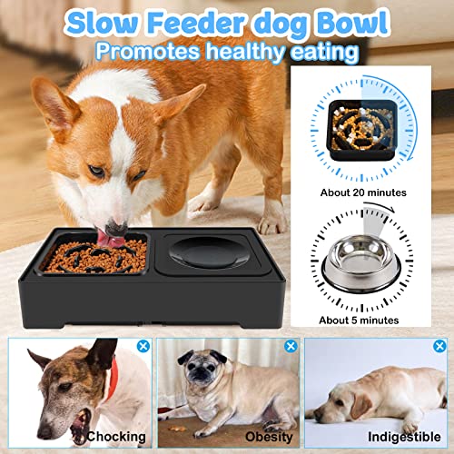 2-in-1 Elevated Slow Feeder Dog Bowls with Non-Skid Silicone Mat Z82523