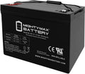 12V 100AH DEEP Cycle VRLA Battery S8098