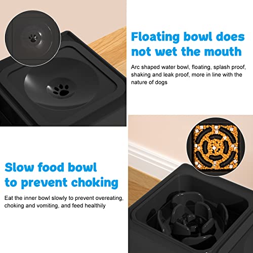 2-in-1 Elevated Slow Feeder Dog Bowls with Non-Skid Silicone Mat Z82523