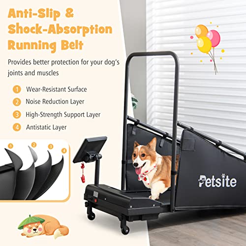 Dog Treadmill with LCD Display Screen, 220 LBS Y994208
