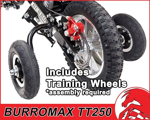 Electric Dirt Bike, 250w 24v 7ah, 2 Speeds, 14 Mph X58248