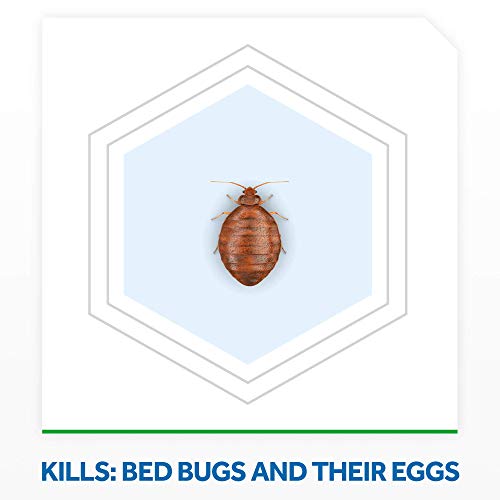 16.5 oz Bed Bug Foaming Spray U52649