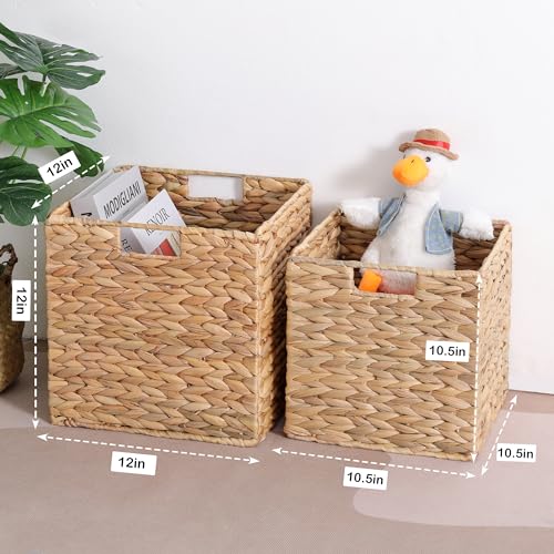 Water Hyacinth Wicker Storage Baskets Set of 3 Y495
