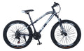 26 Inch Steel Mountain Bike H7484