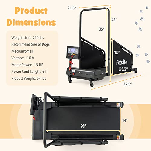 Dog Treadmill with LCD Display Screen, 220 LBS Y994208