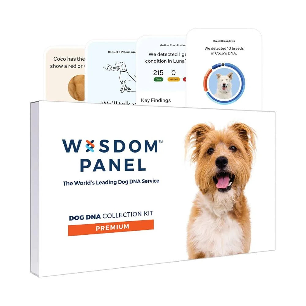 Dog Breed Identification DNA Test Kit Q431