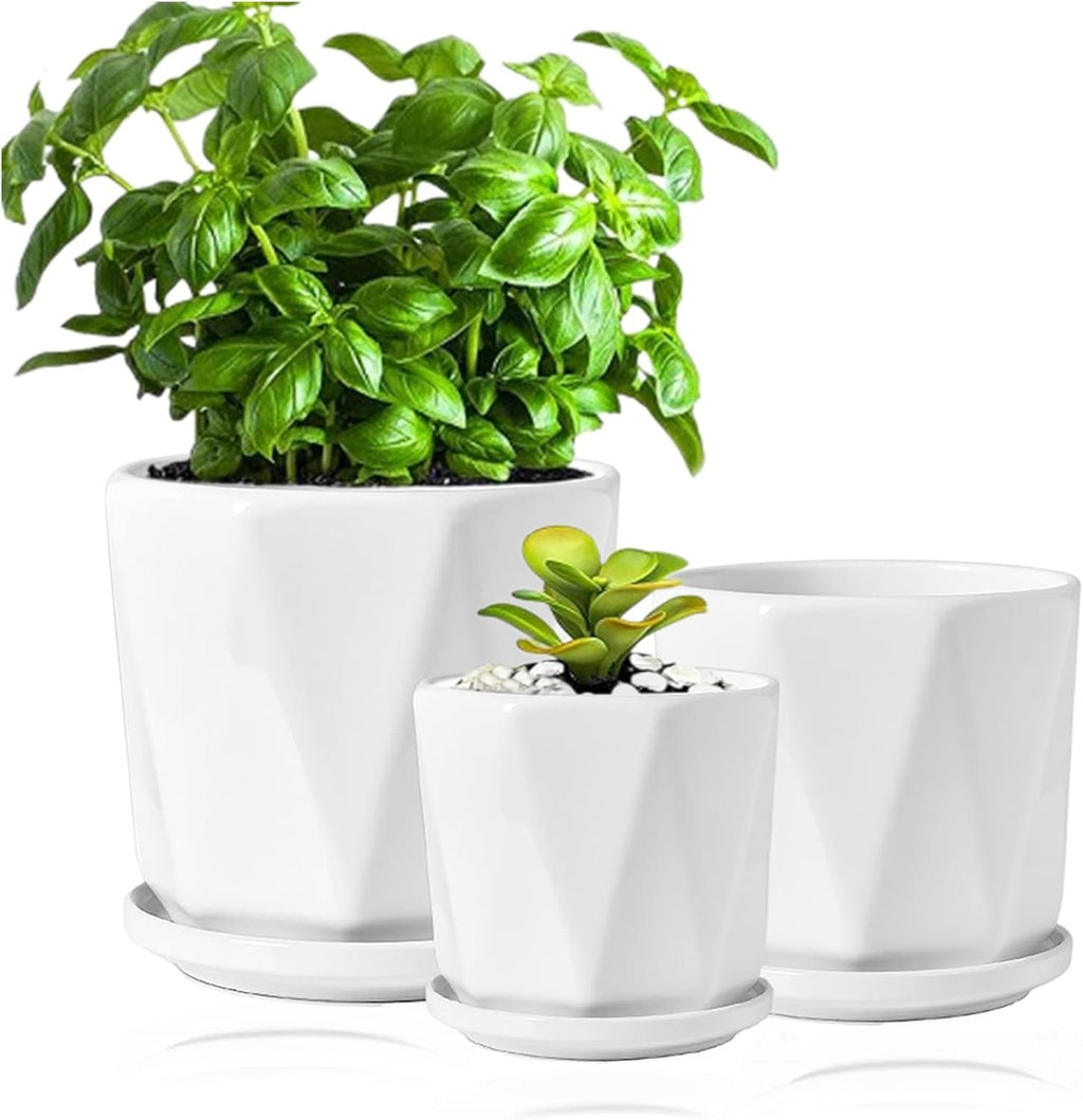 Set of 3 White Ceramic Plant Pots with Saucer R63547