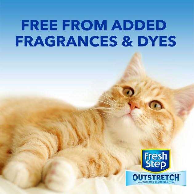Concentrated Clumping Cat Litter Unscented W89364