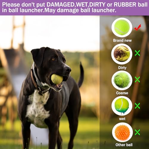 Automatic Dog Ball Thrower Launcher with 3 Launching Distance J5283