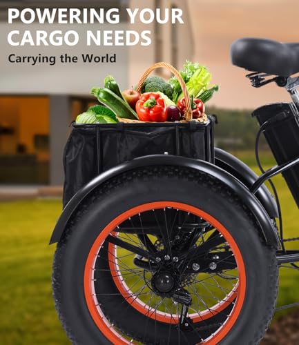 Electric Tricycle with 500W Motor, 20"x4.0" Fat Tire, 48V15Ah Battery R9679
