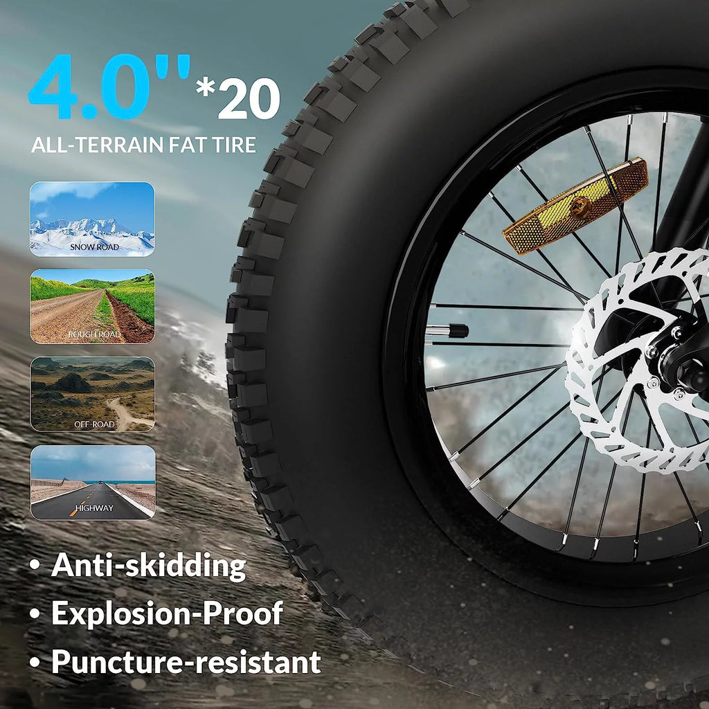 48V 10.5Ah Removable Battery 500W Motor Foldable Fat Tire Electric Bike V223