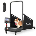 Dog Treadmill with LCD Display Screen, 220 LBS Y994208