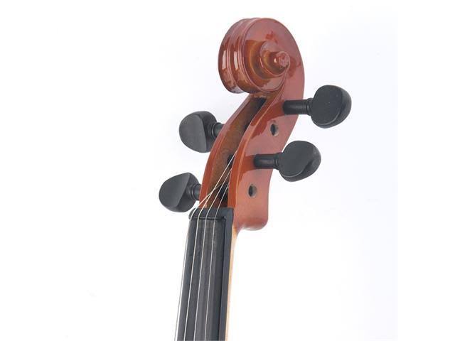 14-inch Solid Wood Viola with Case, Bow, Rosin, Bridge and Strings R1050