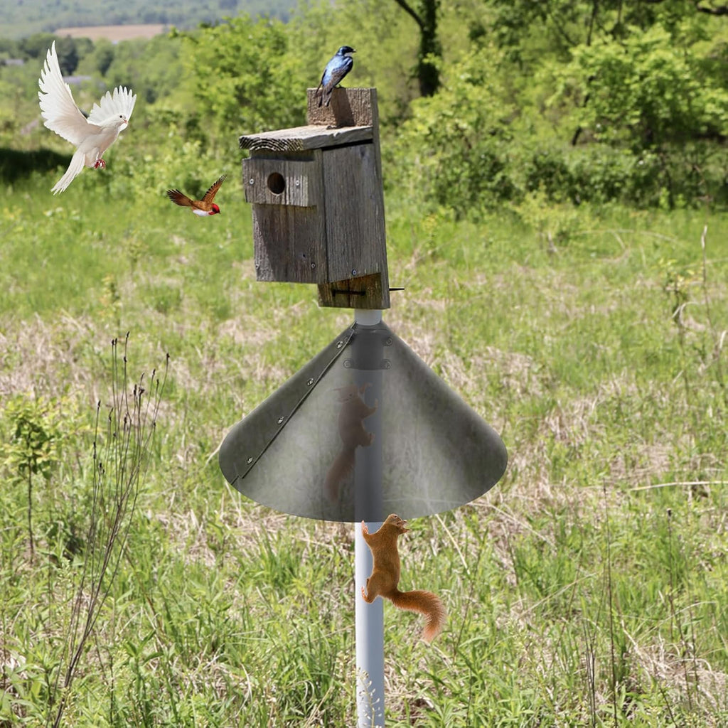 2 Pack Squirrel Baffle Accessory for Bird Feeder Pole L93759