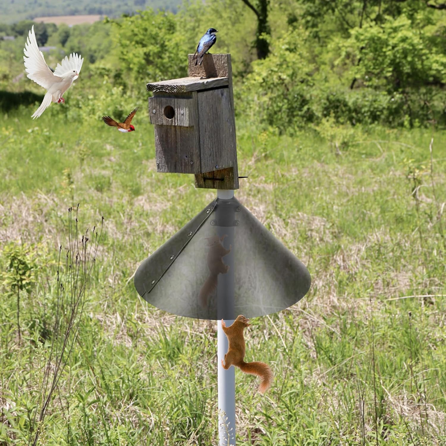 2 Pack Squirrel Baffle Accessory for Bird Feeder Pole L93759