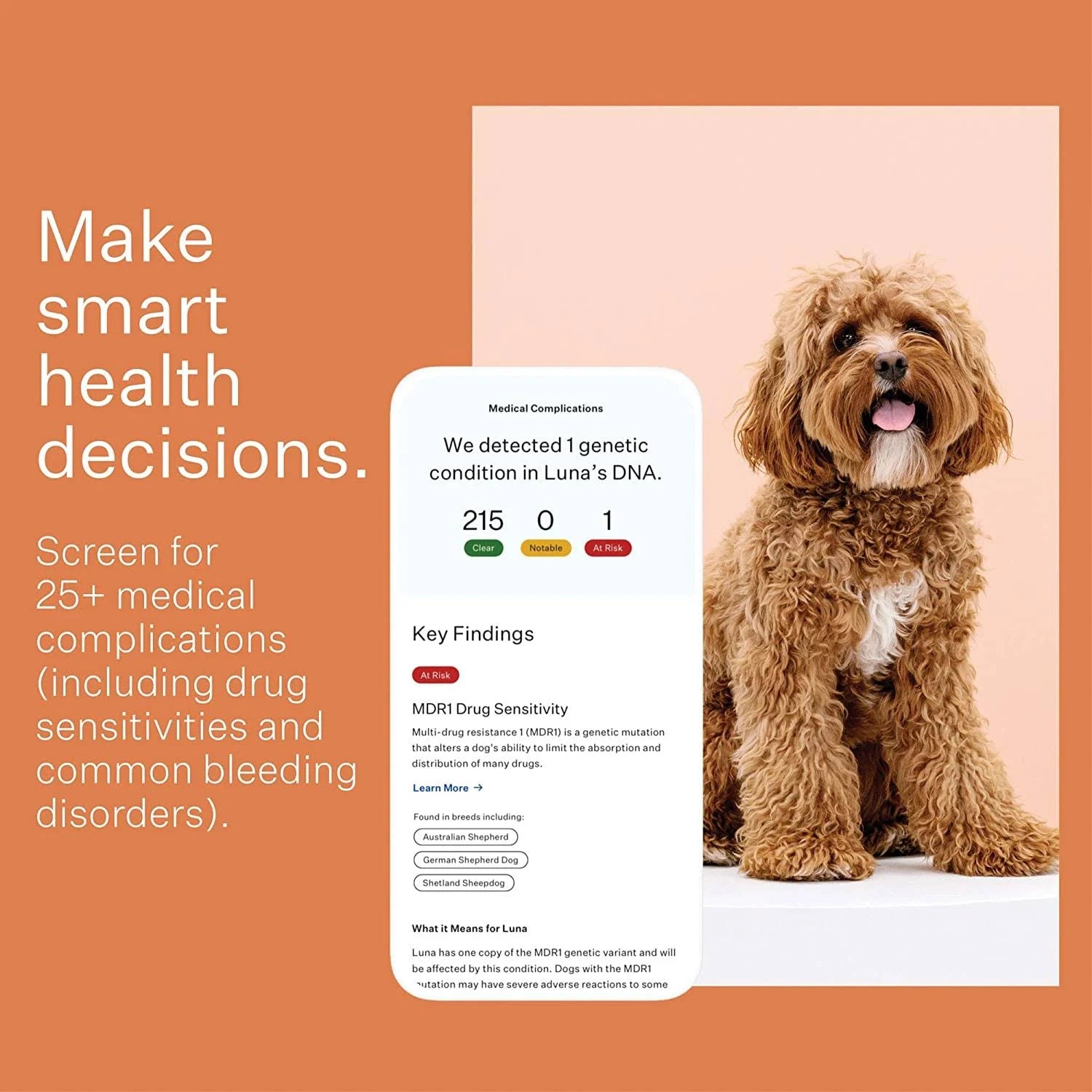 Dog Breed Identification DNA Test Kit Q431