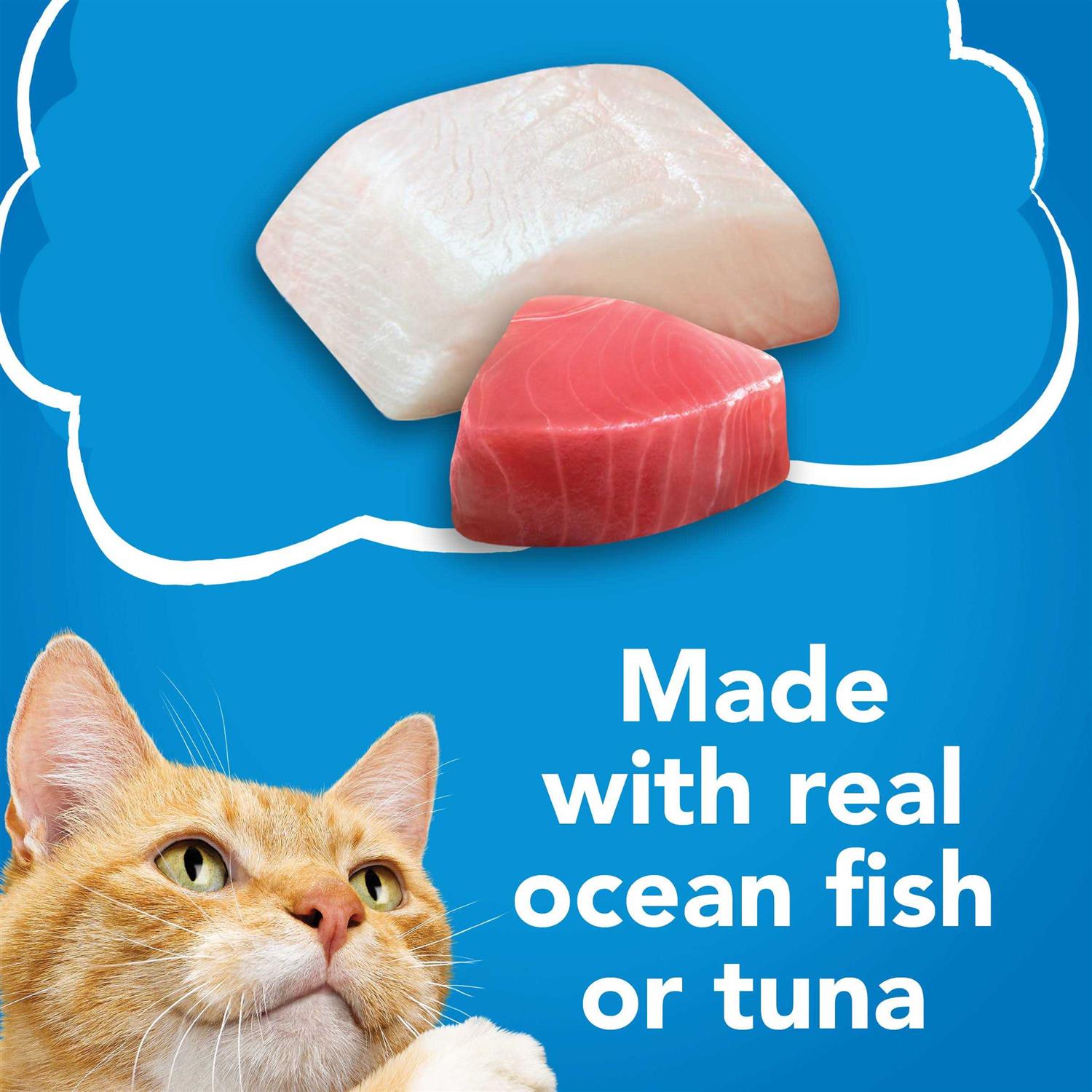 Wet Cat Food Variety Pack Q251