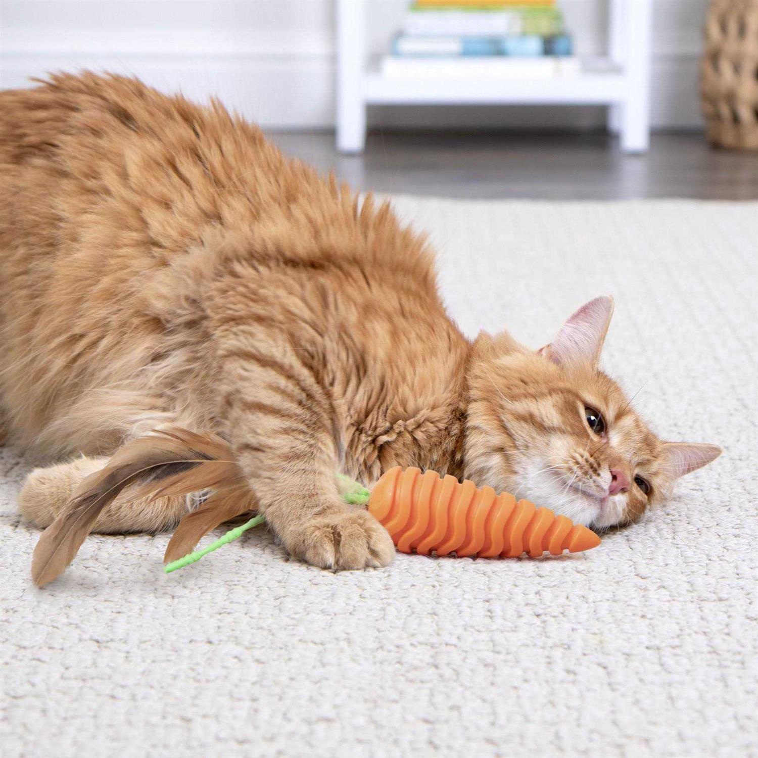 Cat Grooming Toy I5478