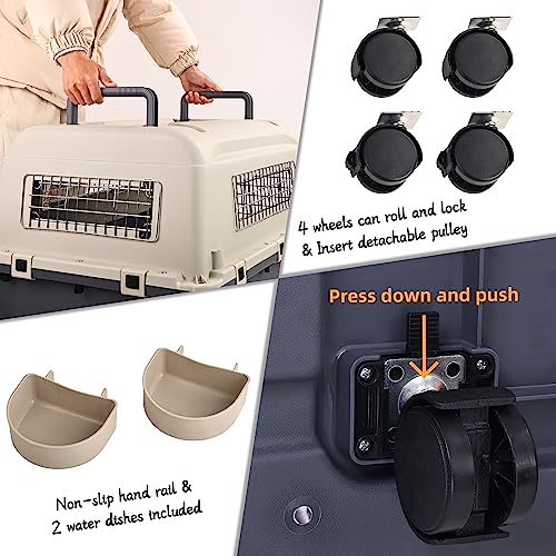 Plastic Airline Approved Travel Dog Crate, Medium E385181