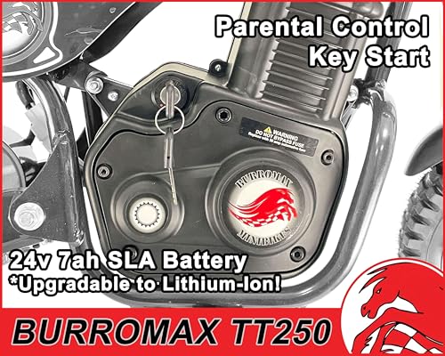 Electric Dirt Bike, 250w 24v 7ah, 2 Speeds, 14 Mph X58248