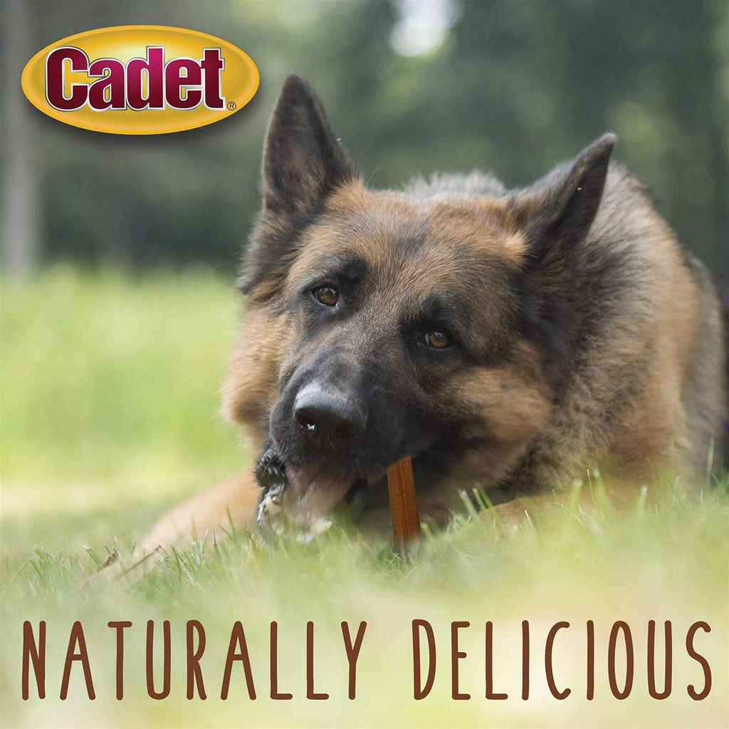 Bully Dog Sticks Treats X9454